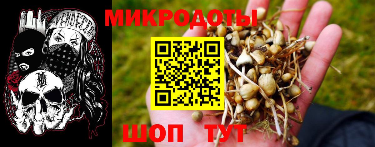 Керчь  Галлюциногенные грибы Cubensis  Вход с VPN 
